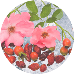 Reduces Inflammation