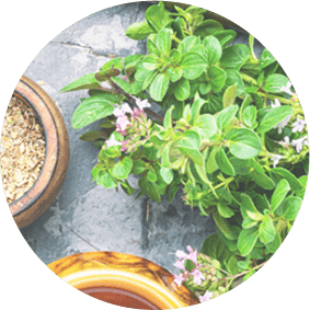 Promotes skin regeneration
